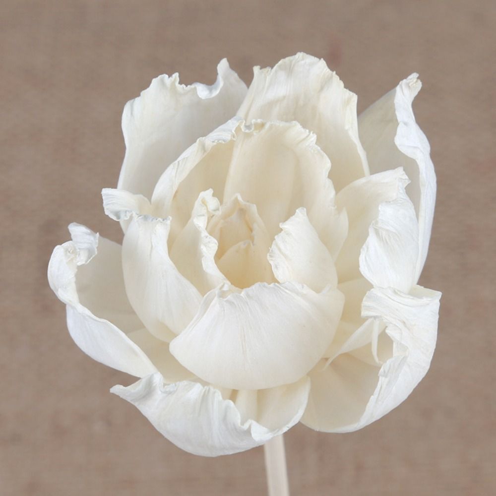 Multipurpose 5cm Natural Handm - đánh giá và giá Home Fragrance Natural