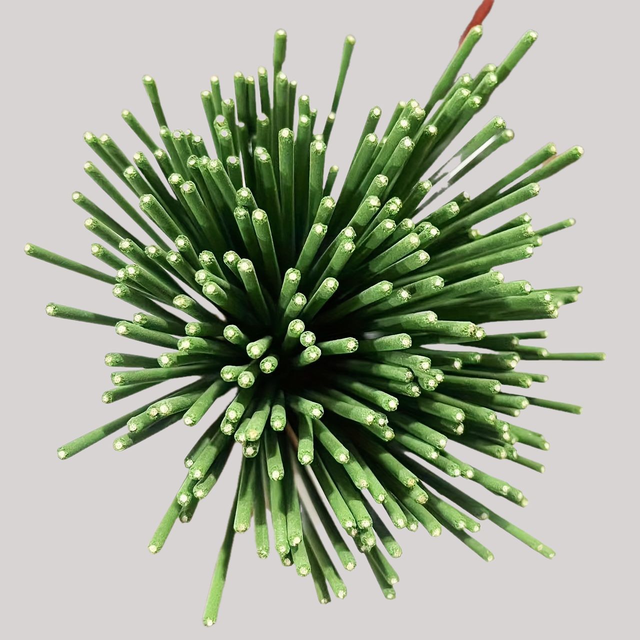 Reed Diffuser Sticks Lemongras - đánh giá và giá Home Fragrance Natural